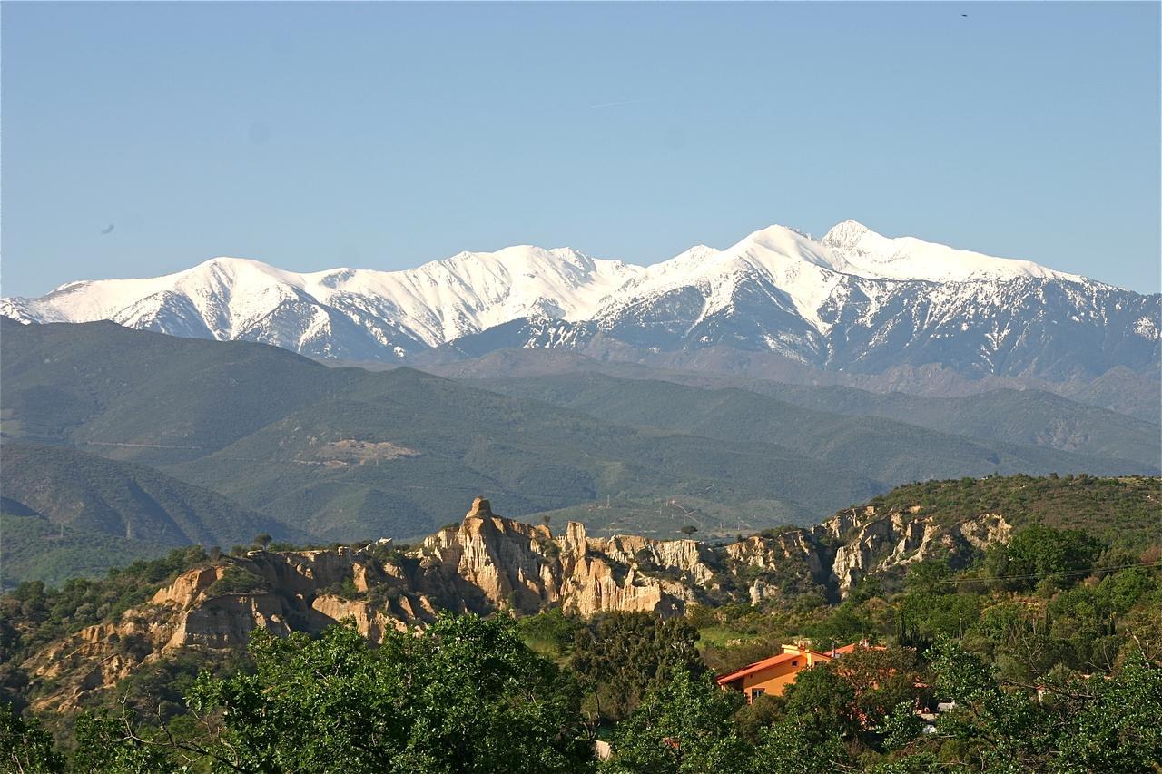 Gite Des Orgues De La Sybille Agave Canigou Exterior foto